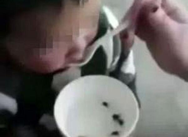 عکس از نوزاد قورباغه