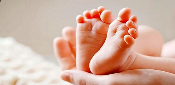 عکس از نوزاد قورباغه