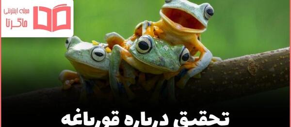 عکس غذای نوزاد قورباغه