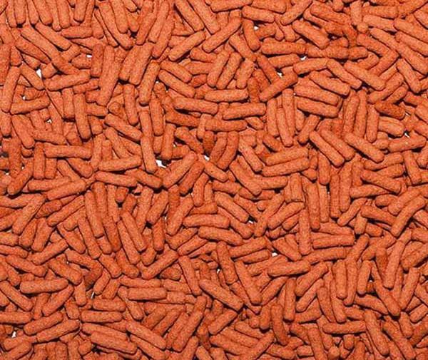 عکس غذای نوزاد قورباغه