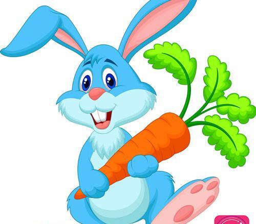 عکس خرگوش های نوزاد