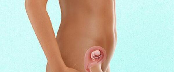 عکس نوزاد دو ماهه در شکم مادر