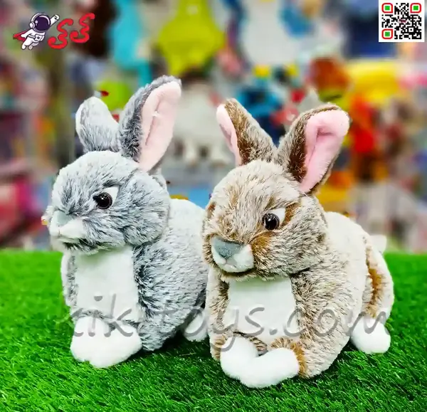 عکس نوزاد با عروسک خرگوش
