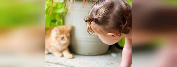 عکس نوزاد با حیوانات