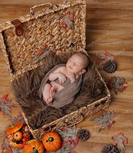 عکس ماهگرد نوزاد دختر پاییزی