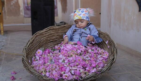ایده عکس نوزاد با گل