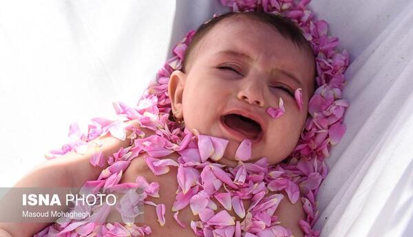 ایده عکس با گل محمدی برای نوزاد