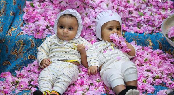 ایده عکس با گل محمدی برای نوزاد