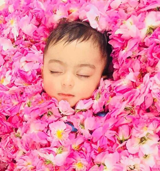 ایده عکس با گل محمدی برای نوزاد