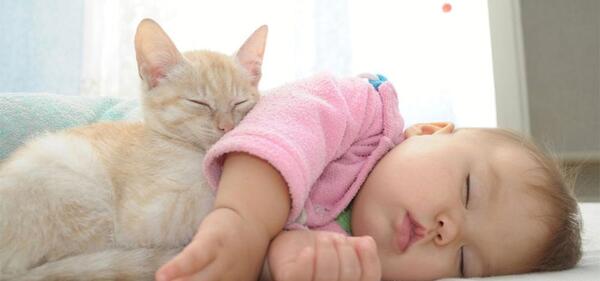 عکس نوزاد یک روزه گربه