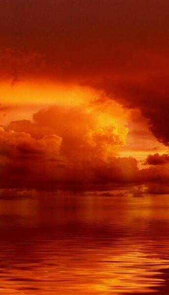 عکس کیوت نارنجی مشکی
