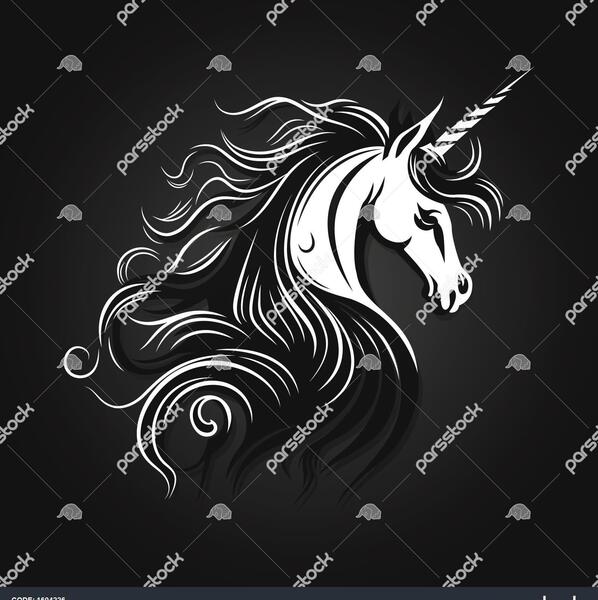 عکس تک شاخ مشکی