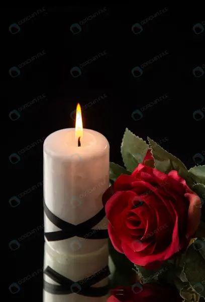 عکس گل سرخ با زمینه مشکی