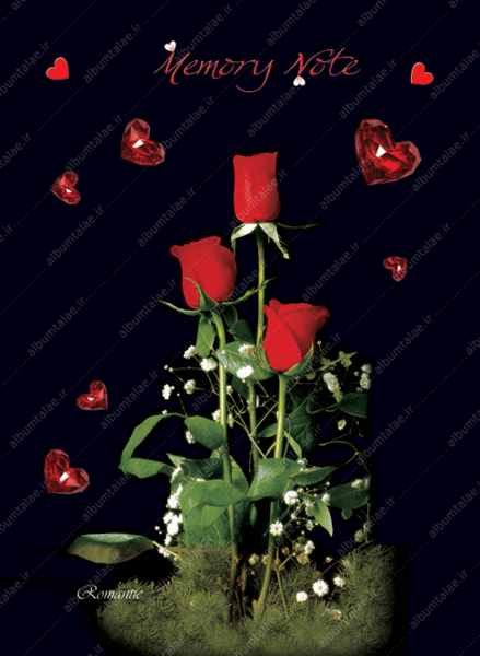 عکس گل سرخ با زمینه مشکی