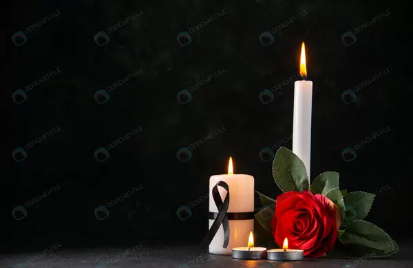 عکس رز مشکی زیبا