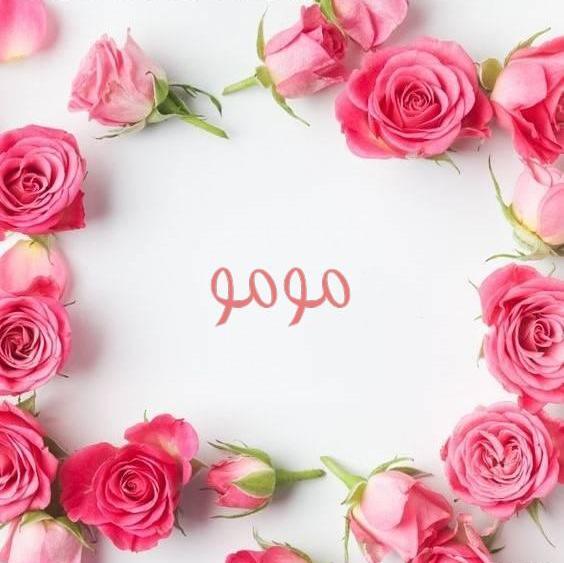 عکس مومو گلی