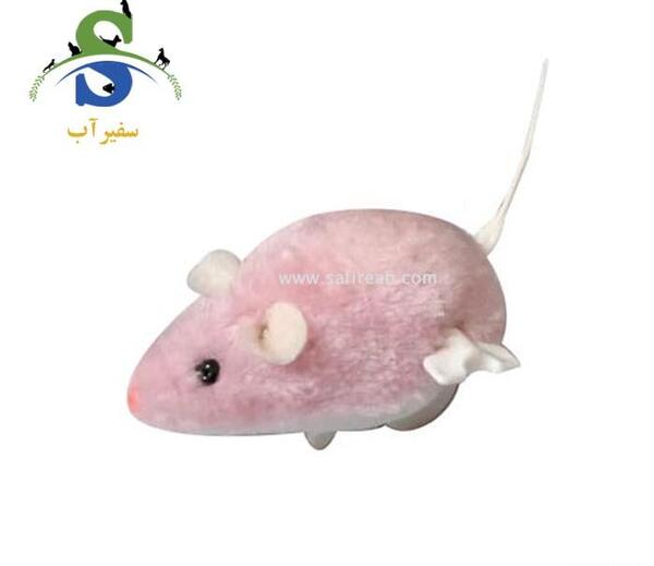 عکس سگ موش و گربه