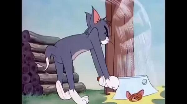 عکس سگ موش و گربه