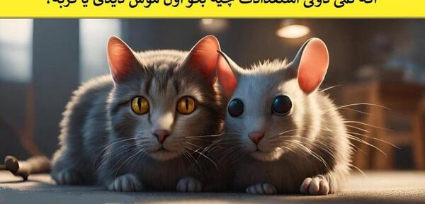 عکس پروفایل موش و گربه