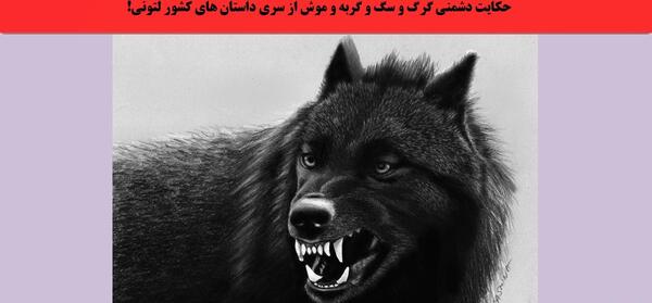 عکس داستان موش و گربه