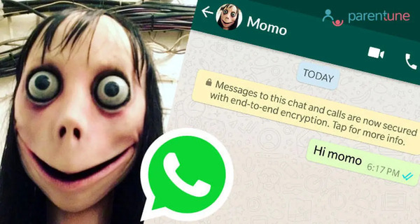 عکس مومو رو بیار