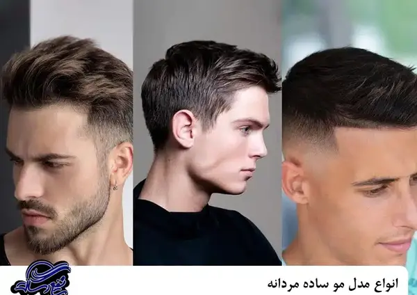 عکس موی معمولی مردانه