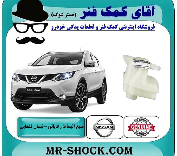 عکس و قیمت ماشین نیسان قشقایی