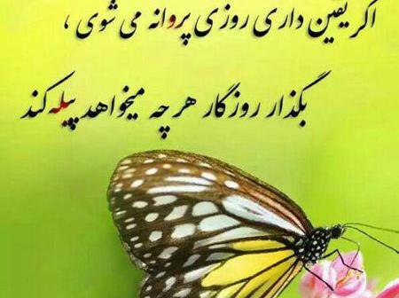 عکس های مفهومی و خاص