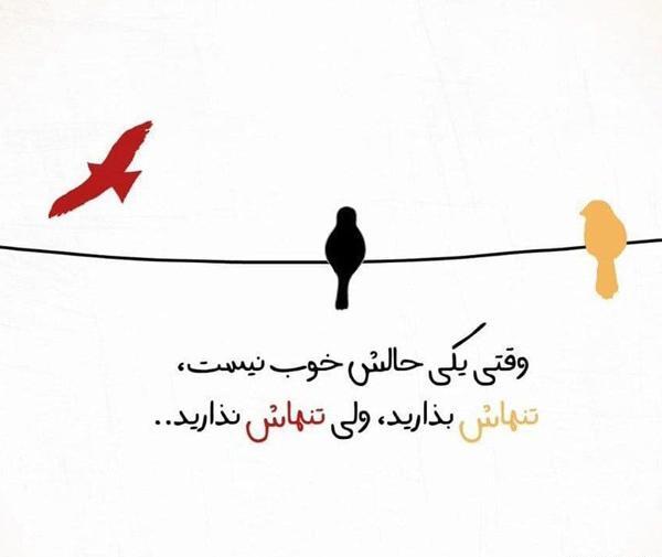 عکس ناب مفهومی
