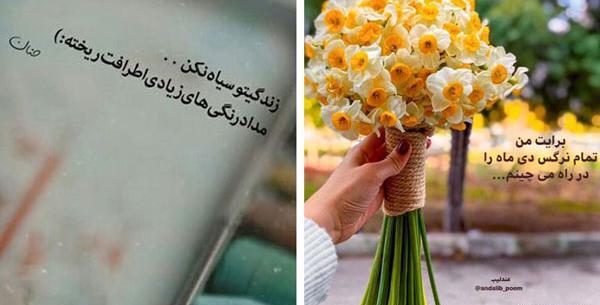 عکس ناب مفهومی