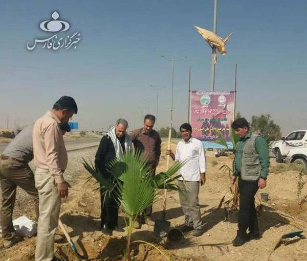 عکس مرد درختی در ایران