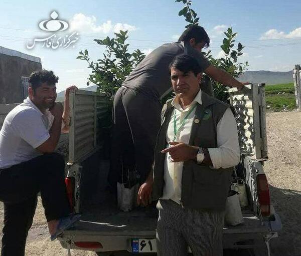 عکس مرد درختی در ایران