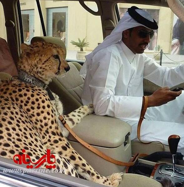 عکس مرد کوچک عرب