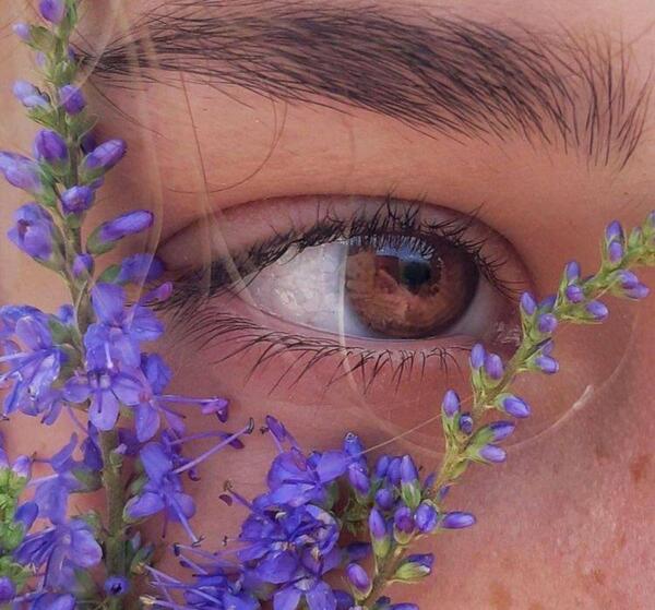 دانلود عکس مرد چشم عسلی