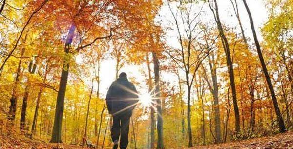 عکس مرد تنها در طبیعت