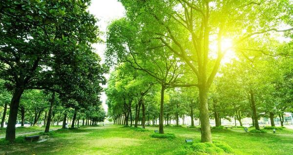 عکس تصاویر از منظره های زیبا