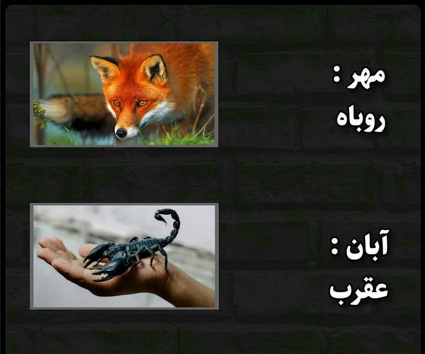 عکس ماه سال تولد