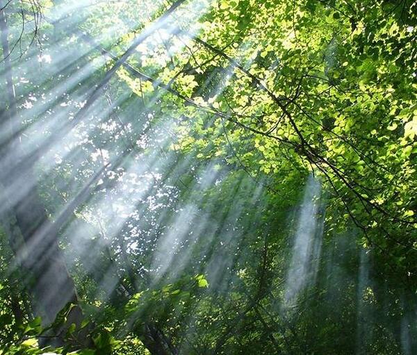 عکس تصاویر از مناظر زیبای طبیعت