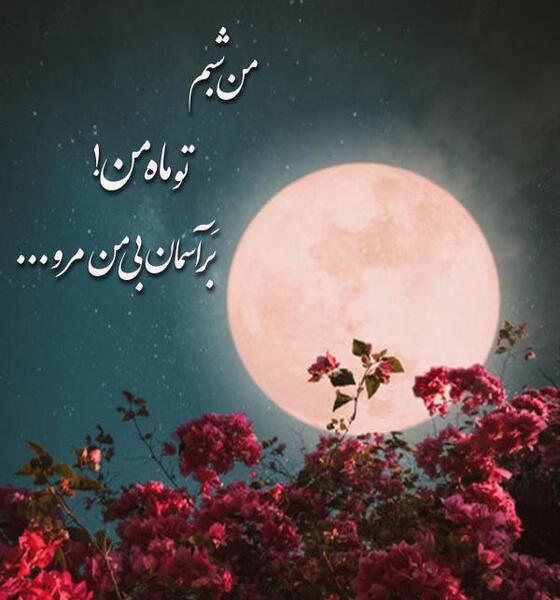 عکس پروفایل ماه شب چهارده