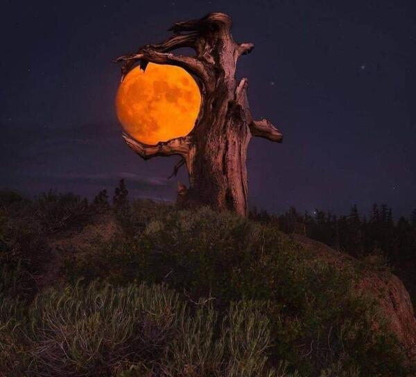 عکس پروفایل ماه شب چهارده