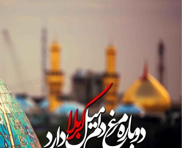 عکسهای پروفایل ماه صفر