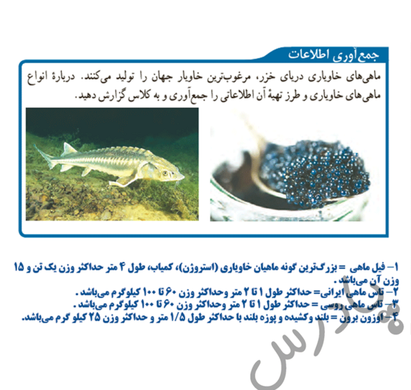 عکس ماهی صفحه ۱۵۲ علوم نهم