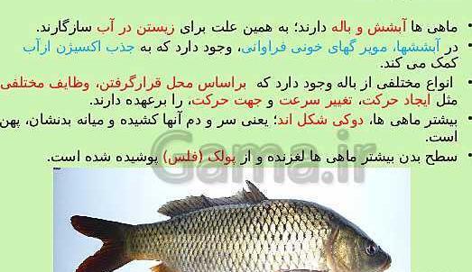عکس ماهی صفحه ۱۵۲ علوم نهم