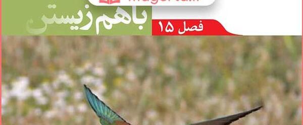 عکس ماهی صفحه ۱۵۲ علوم نهم