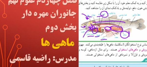 عکس ماهی صفحه ۱۵۲ علوم نهم