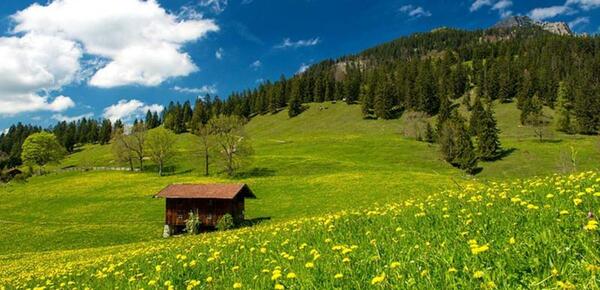 رویایی عکس منظره زیبا