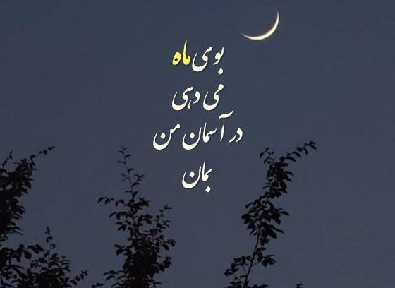 عکس عاشقانه ماه کامل