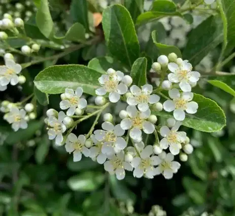 عکس مناظر طبیعی زیبای جهان