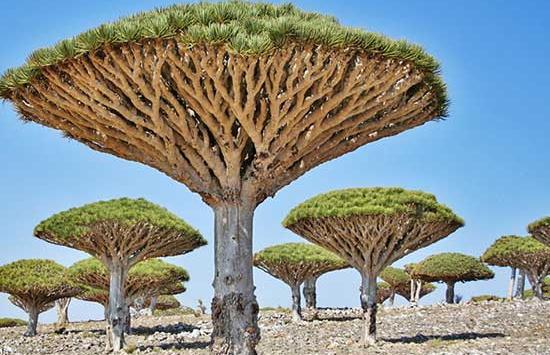 عکس مناظر طبیعی زیبای جهان