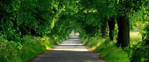 عکس زیباترین مناظر ایران